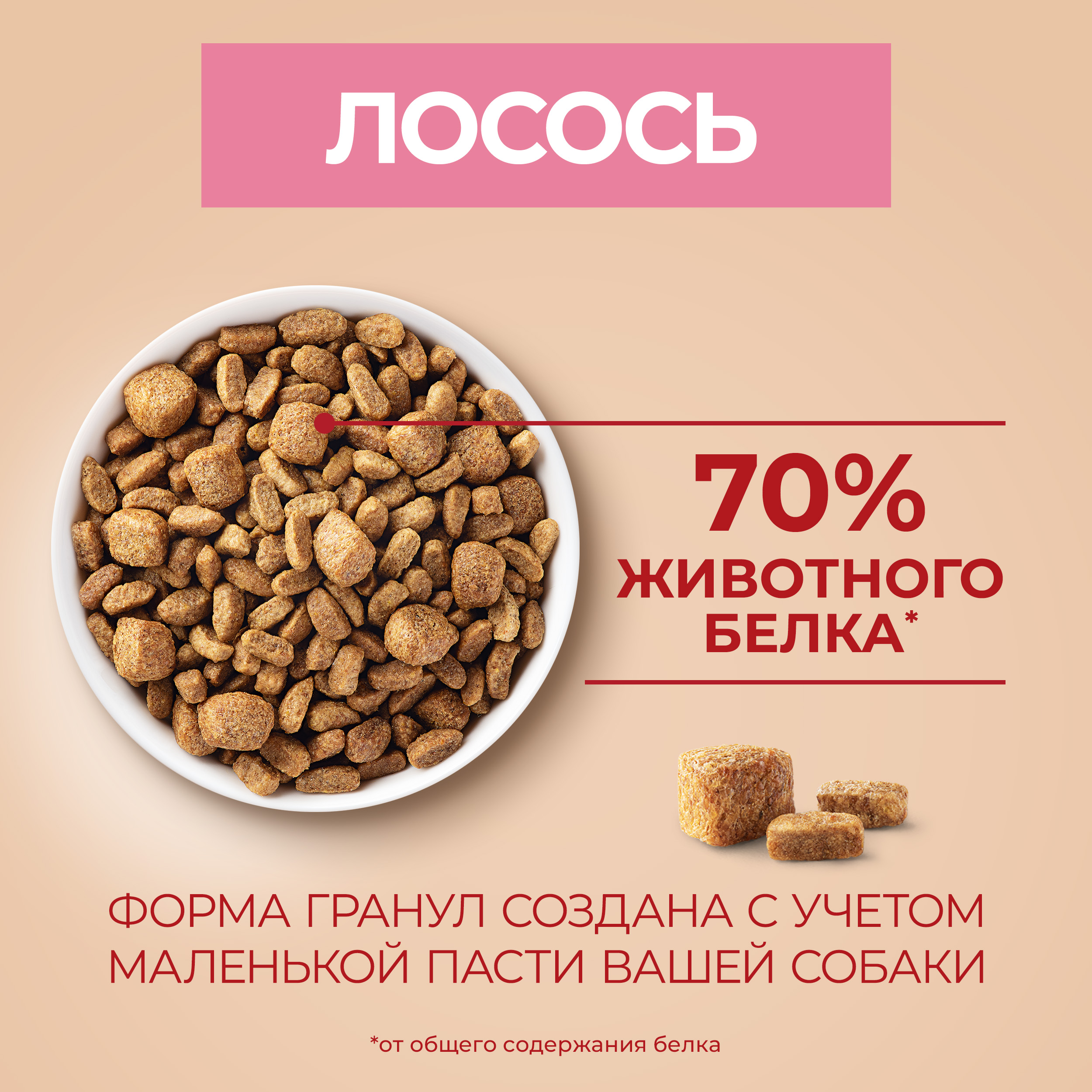 

Сухой корм Purina One Мини Чувствительная для взрослых собак мелких пород с чувствительным пищеварением с лососем и рисом пакет 600 г