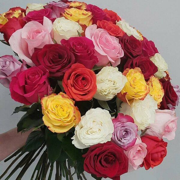 51 роза под ленту