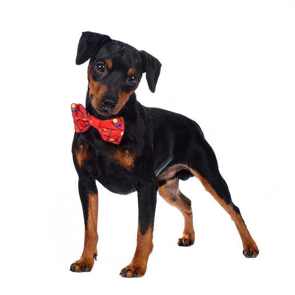 Галстук-бант для собак красный светящийся Led