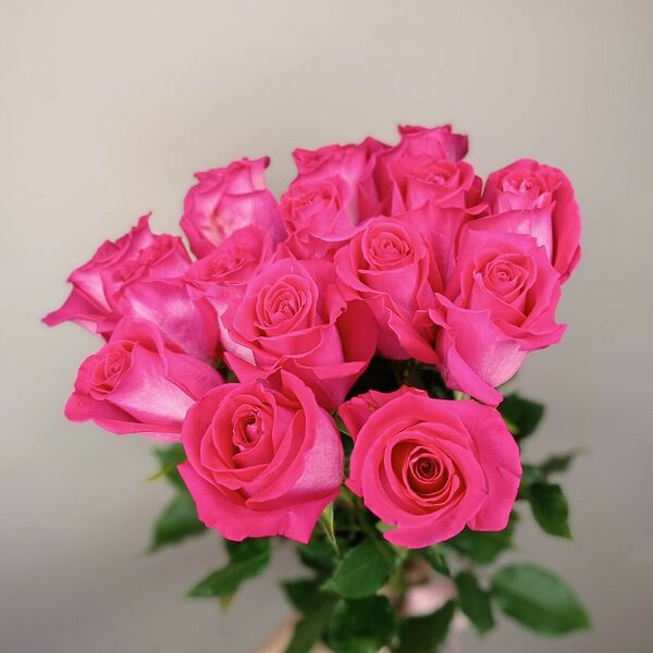 11 ярких роз