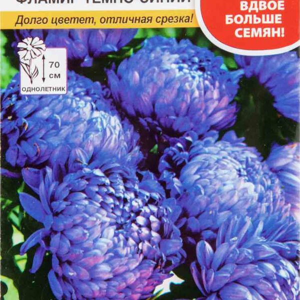 Астра Фламир тёмно-синий Русский Огород