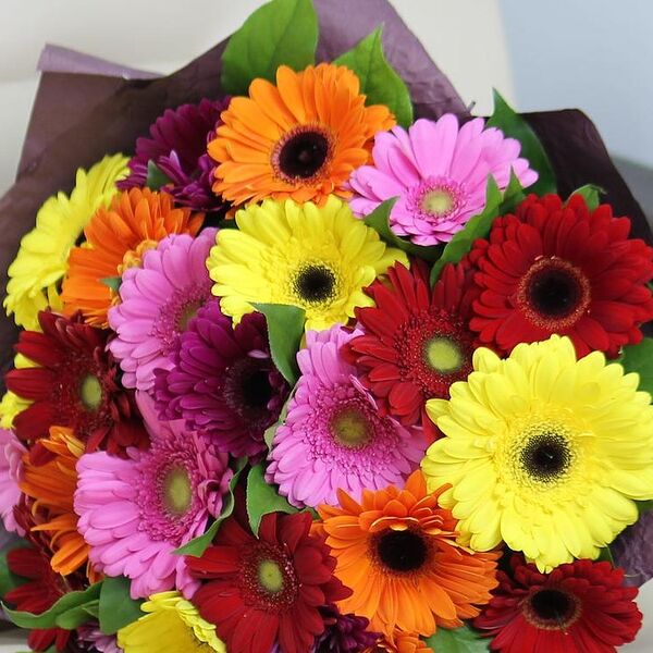 17 гербер с зеленью