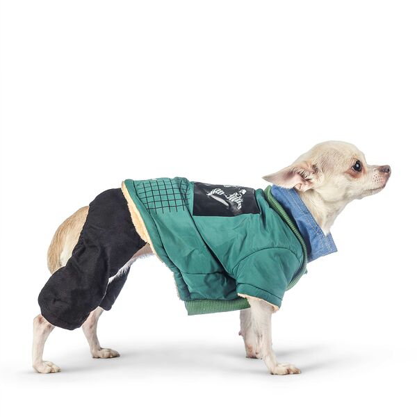 Комбинезон для собак L зеленый (унисекс)