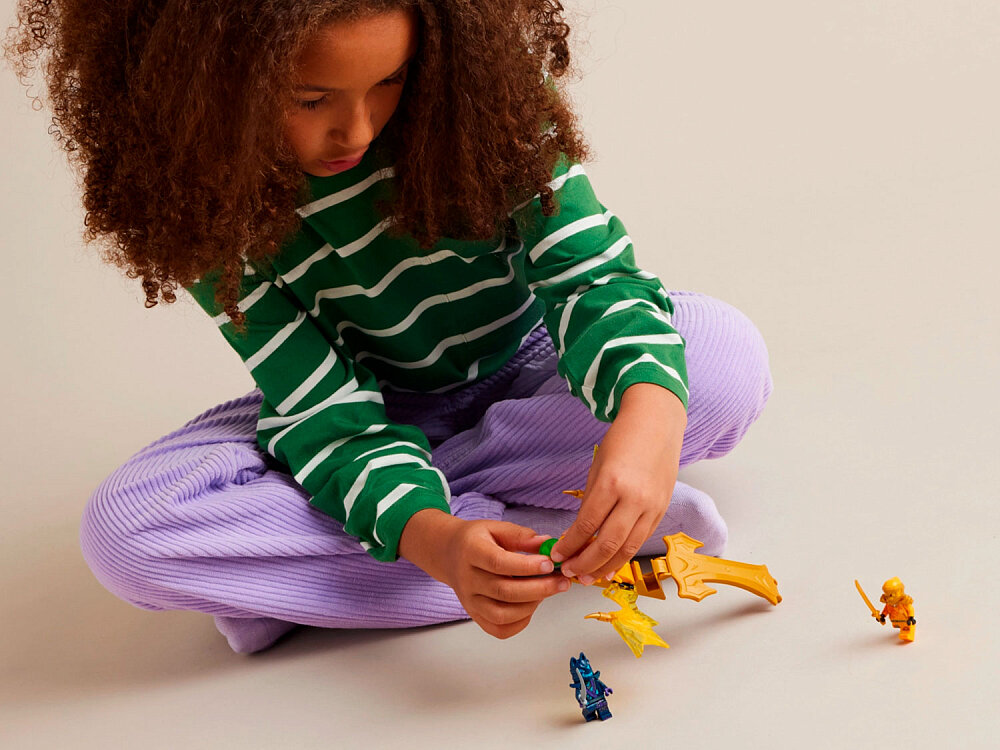 

Конструктор Lego Ninjago 71803 Удар восходящего дракона Арина