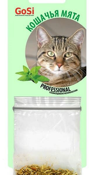 GoSi кошачья мята