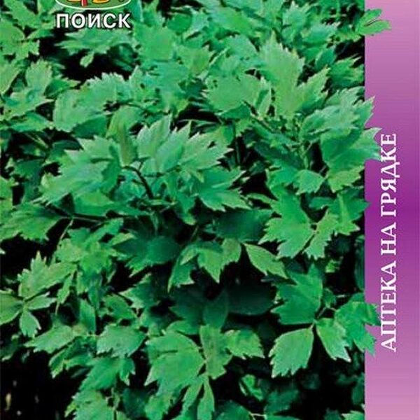 Семена Любисток Удалец ТМ Поиск