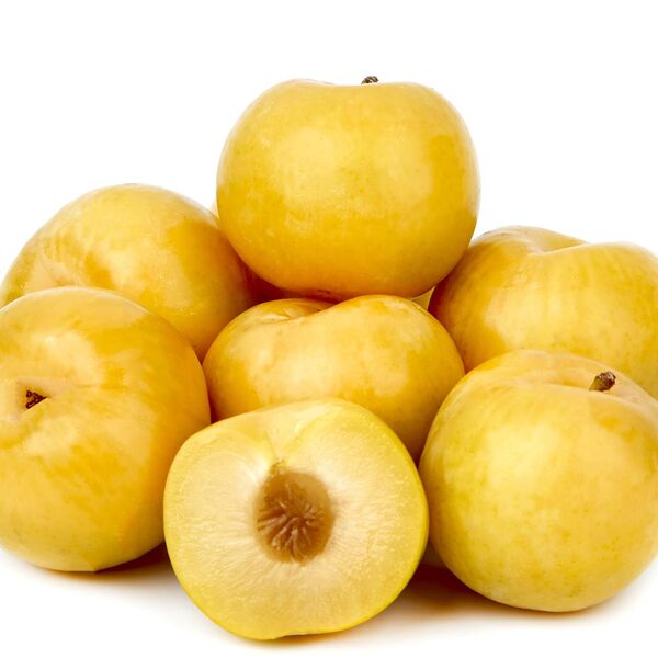 Слива желтая