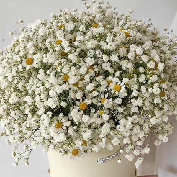 Шляпная коробка с гипсофилой и ромашками  S