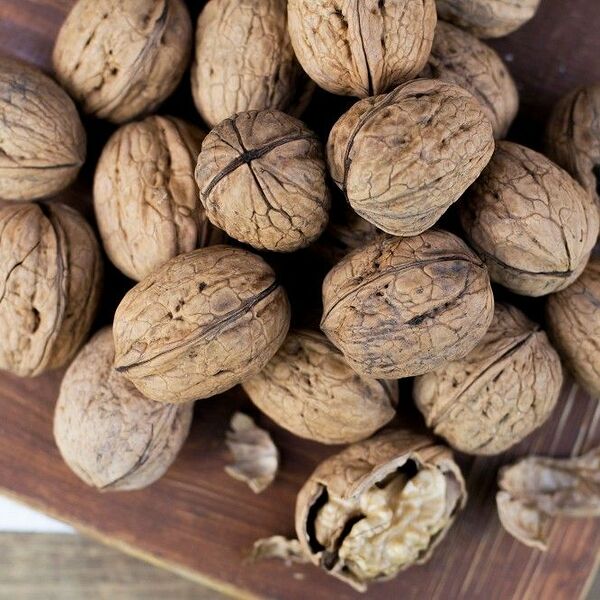 Грецкий орех неочищенный в скорлупе на развес