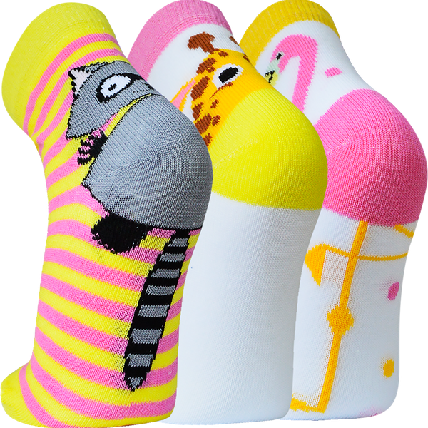 Носки детские НОСИК Roly-poly р. 16–18, Арт. 8С2, 3пары