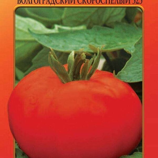 Томат Русский Огород Волгоградский скороспелый 323 О.Ю.