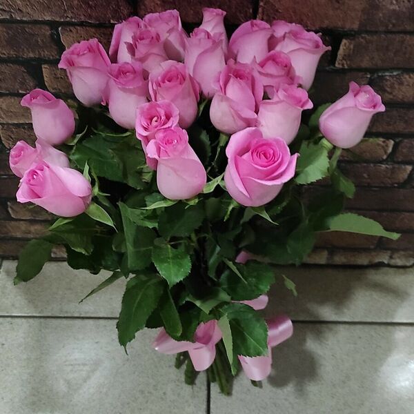 19 розовых роз под ленту