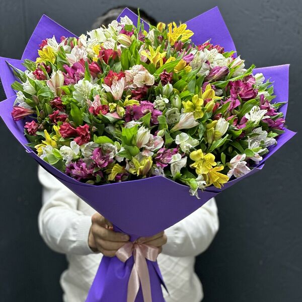 Альстромерия разноцветная