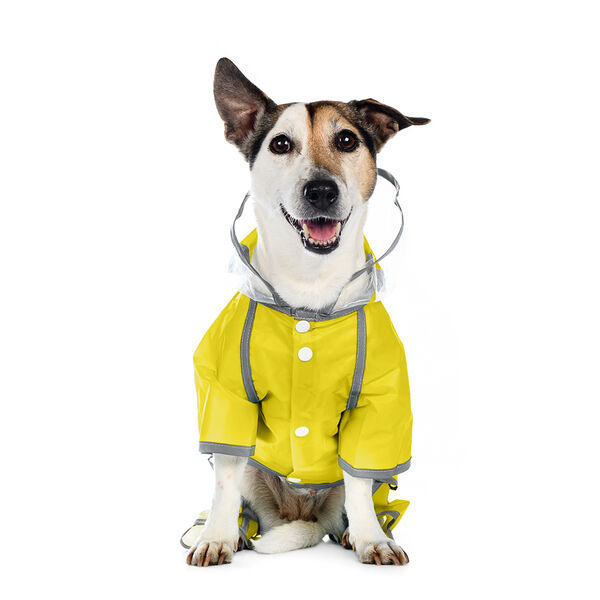 Дождевик с ножками для собак 3XL желтый (унисекс)