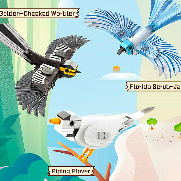 Конструктор CaDA C71025W Конструктор Птицы