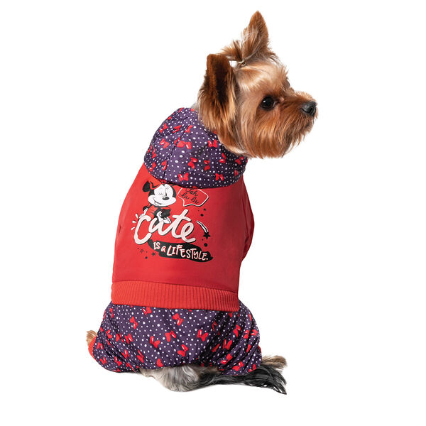 TRIOL Комбинезон-дождевик демисезонный Disney Minnie Cute, размер L, 35 см