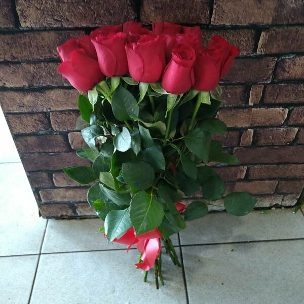 11 красных роз под ленту