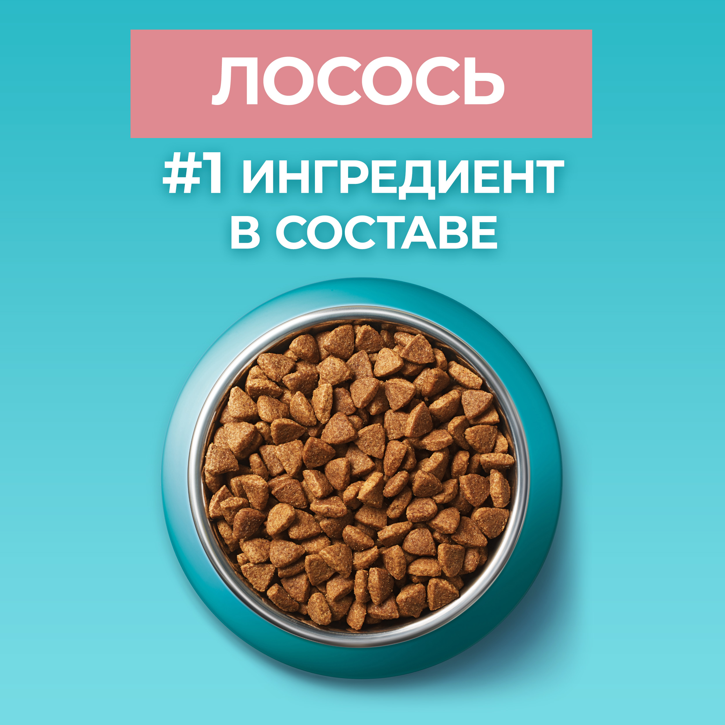 

Корм сухой Purina One Лосось для стерилизованных кошек и кастрированных котов 3000 г
