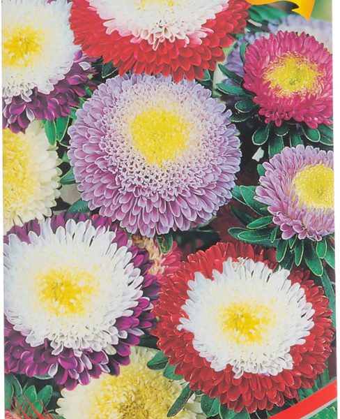 Семена ДОМ СЕМЯН Астра Суприм, смесь