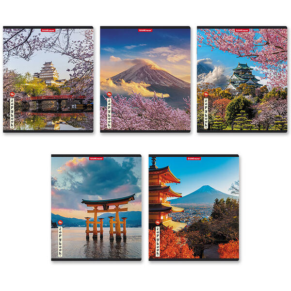 Тетрадь 96л ErichKrause Mysterious Japan, кл. 58292