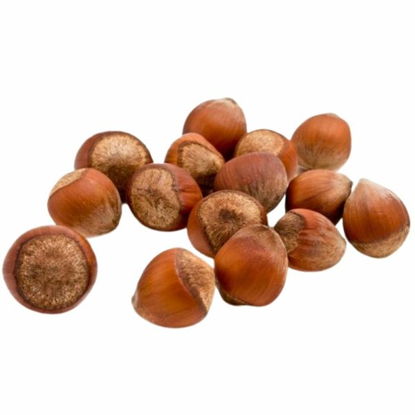 Фундук в скорлупе