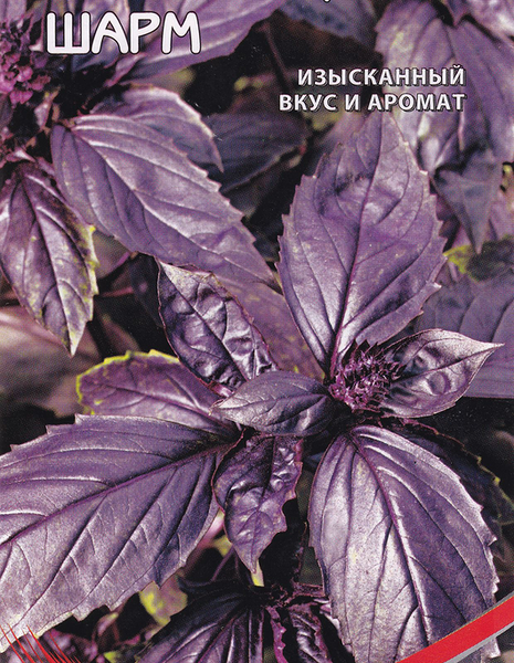 Семена HEM ZADEN Базилик Шарм, 130шт