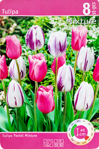 Луковицы Тюльпан, микс, Арт.T004STD, 8шт