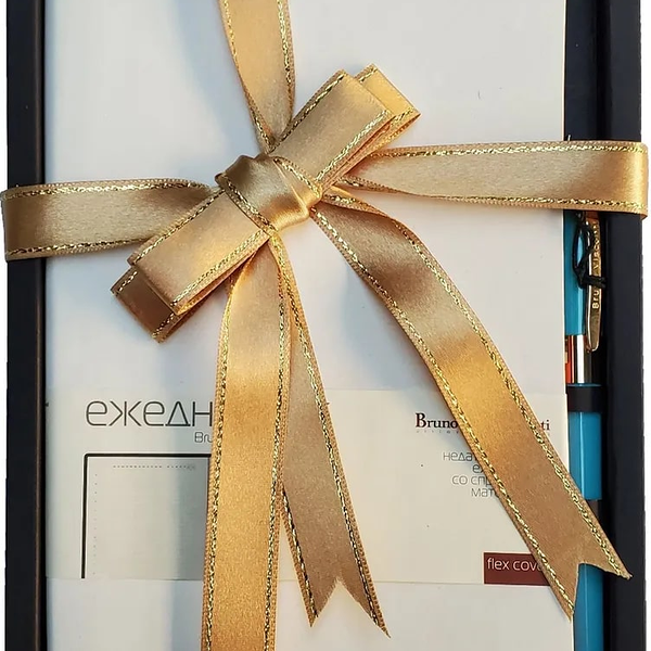 Подарочный набор Bruno Visconti Mercury микс: ежедневник А5, ручка шариковая