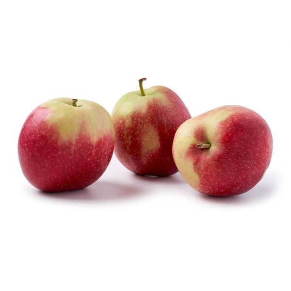 Яблоки «Женева» нового урожая