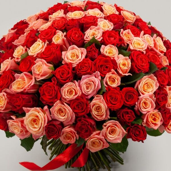 Букет из 151 розы Румянец зари