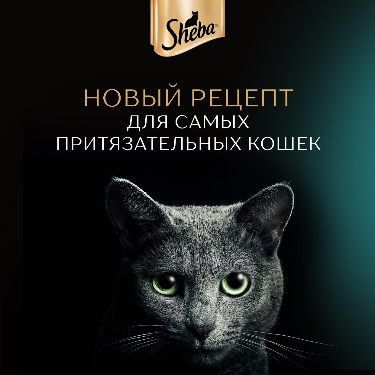 

Влажный корм для кошек Sheba Ломтики в соусе с форелью и креветками 85г