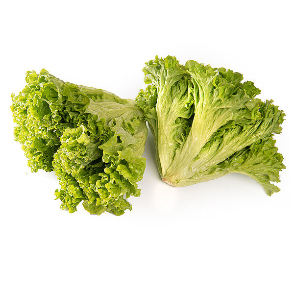 Салат листовой