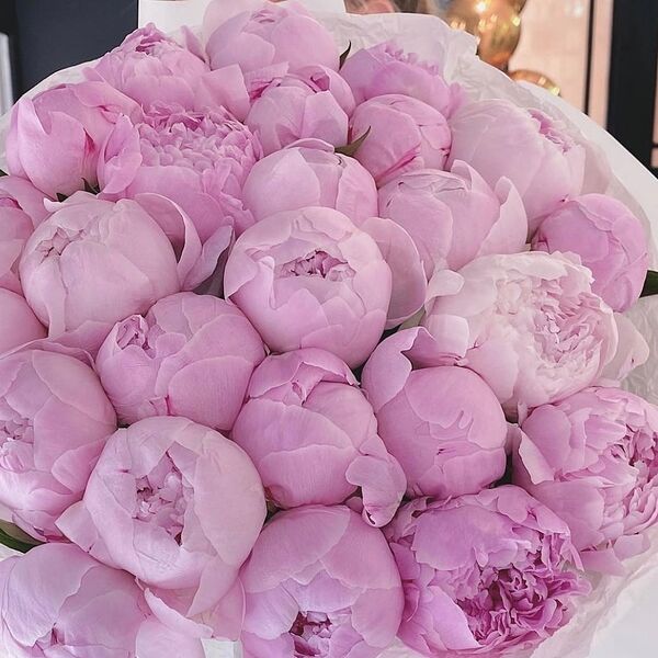 Букет из 25 розовых пионов