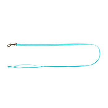 Поводок для собак Hunter Smart Ecco нейлон 10*110мм бирюзовый
