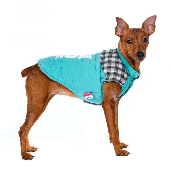 Куртка для собак XS голубой (унисекс)