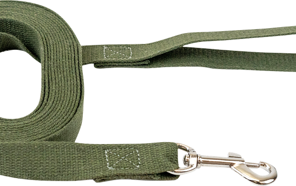 Поводок Лента брезентовый 25 мм x 5 м, длина 8,4 см