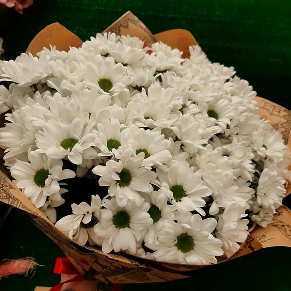Букет белых хризантем 