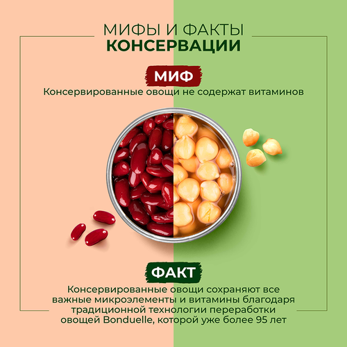 

Фасоль консервированная Bonduelle белая в пряном карри 360 г