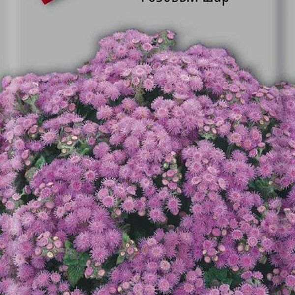 Семена АГЕРАТУМ Розовый шар ТМ Поиск