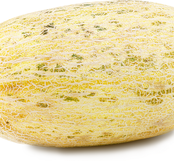 Дыня  Торпеда Узбекистан вес до 5.0 кг