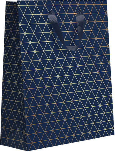 

Пакет подарочный с тиснением 31.5х25.5х11см, 1 шт, в ассортименте