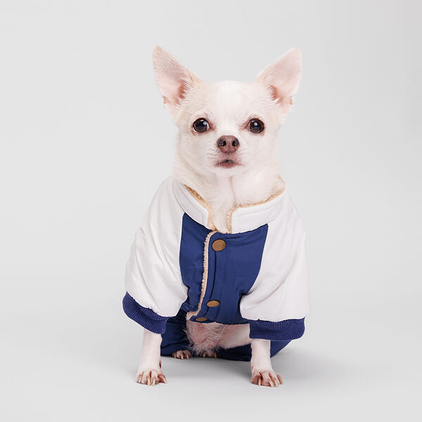 Комбинезон для собак, S, сине-серый