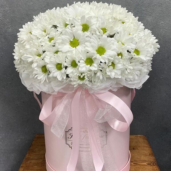 Гигант хризантем в коробке