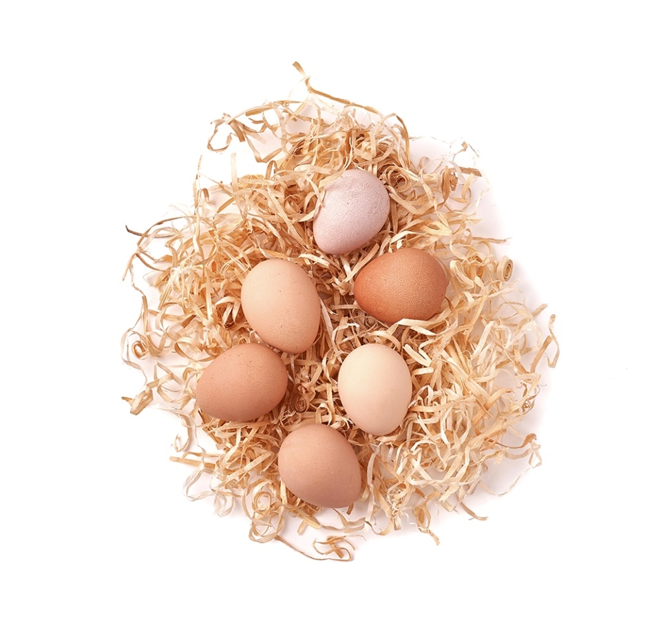 

Яйцо цесарки Ecodar столовое 6 шт. 300 г