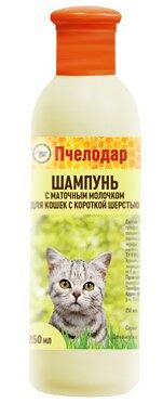 Шампунь Пчелодар с маточным молочком для короткошерстных кошек
