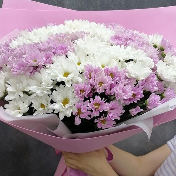 Гигант 17 хризантем