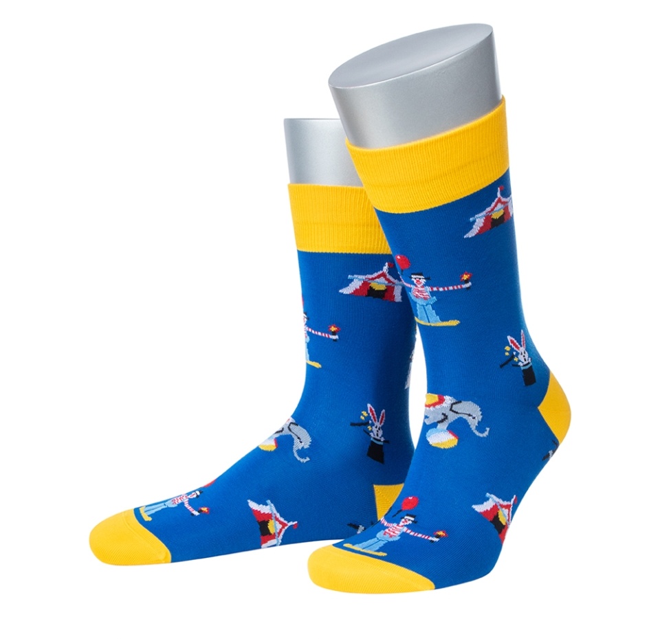 

Носки мужские Collirossi Ufi4050-19 цвет синий р.25 (39-40)