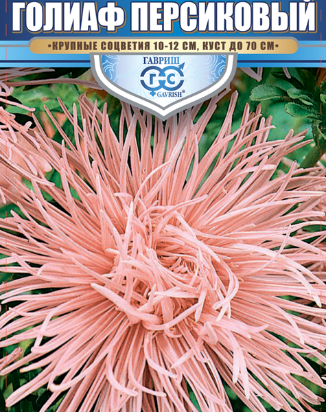 Семена Астра Гавриш Голиаф персиковый