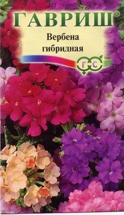 

Семена Гавриш вербена гибридная