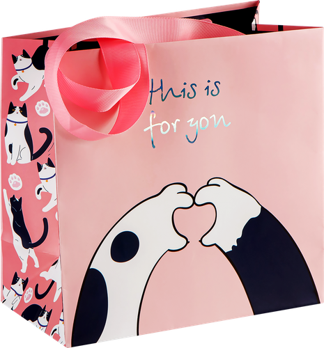 

Пакет подарочный Meshu This is for you отделка фольгой матовая ламинация 20x20x10 см